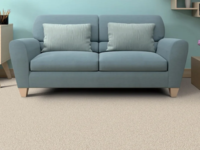 Learn about Legendary Beauty carpet warranty