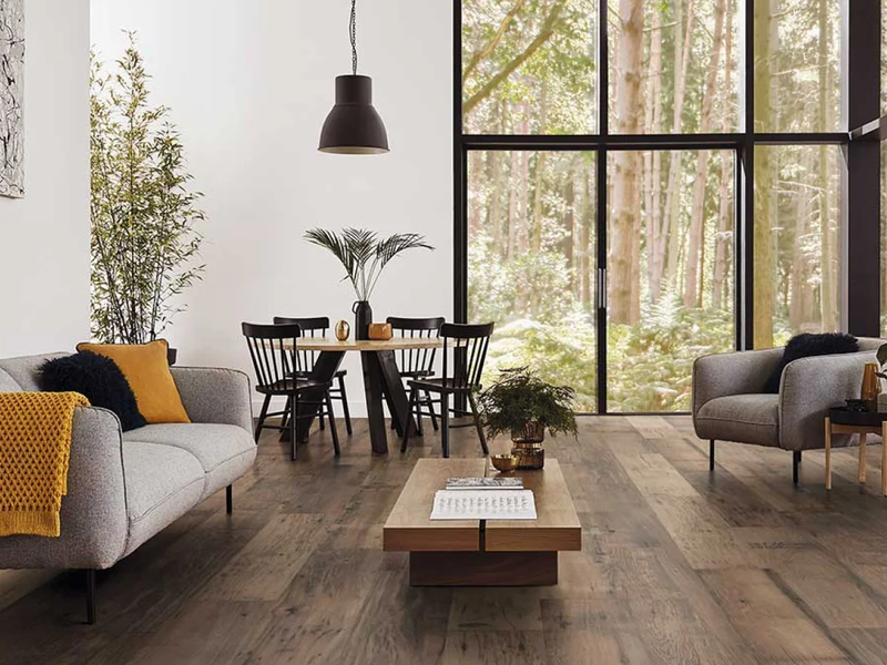 Modern living room with beautiful hardwood floors